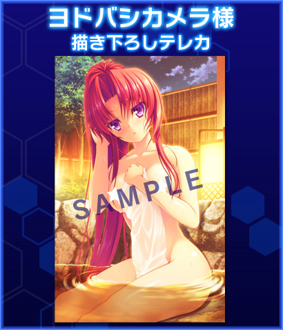 ヨドバシカメラ様