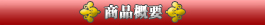 商品概要