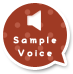 sample voice