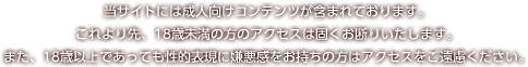 当サイトには成人向けのコンテンツが含まれております。
これより先、18歳未満の方のアクセスを固くお断りします。
また、18歳以上であっても性的表現に嫌悪感をお持ちの方はアクセスをご遠慮ください