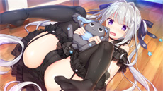 sample cg
