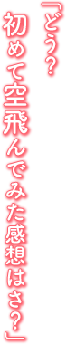 「どう？　初めて空飛んでみた感想はさ？」