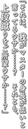 「それは、我がマスターの身長が低いと言ってるウサか……？それとも、上段蹴りをご所望ウサか……？」