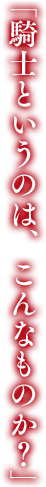 「騎士というのは、こんなものか？」