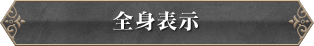 全身表示