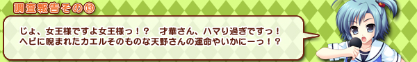 調査報告書13