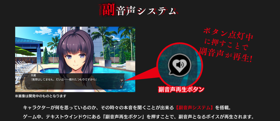 副音声システム